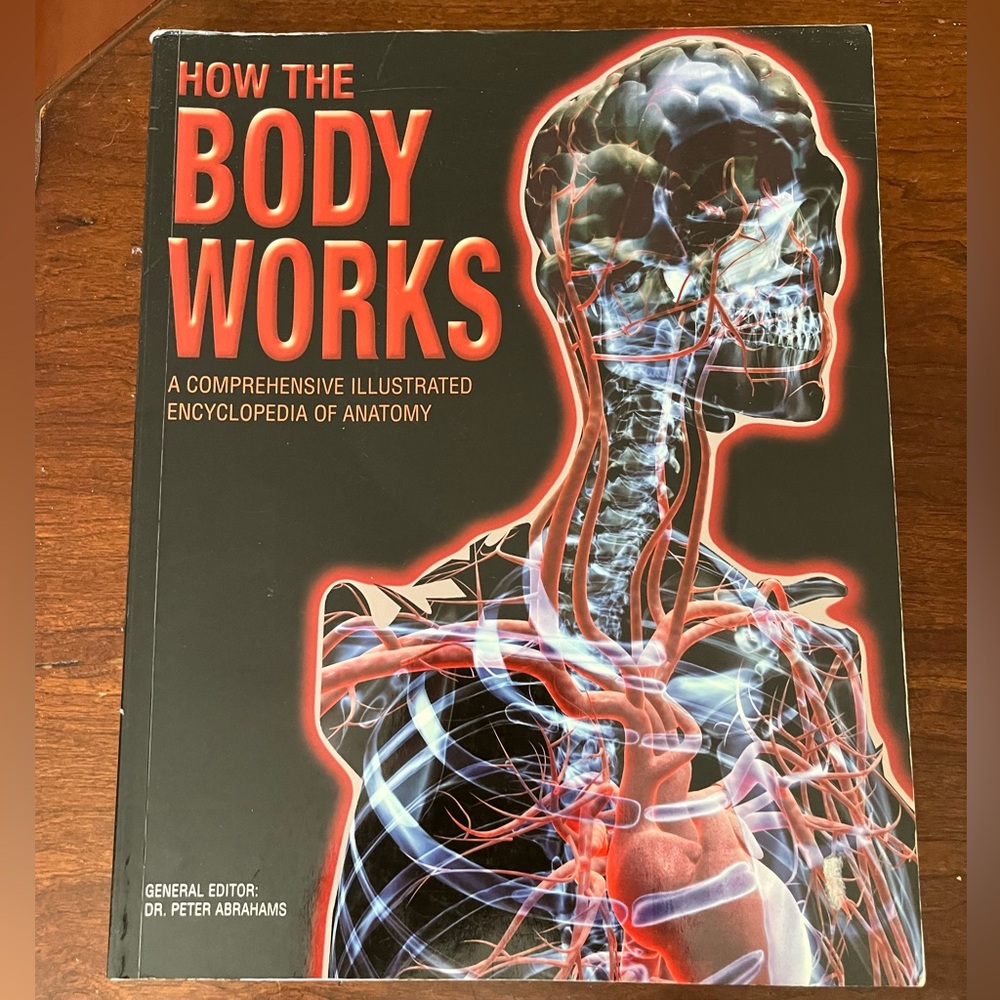 How the body works